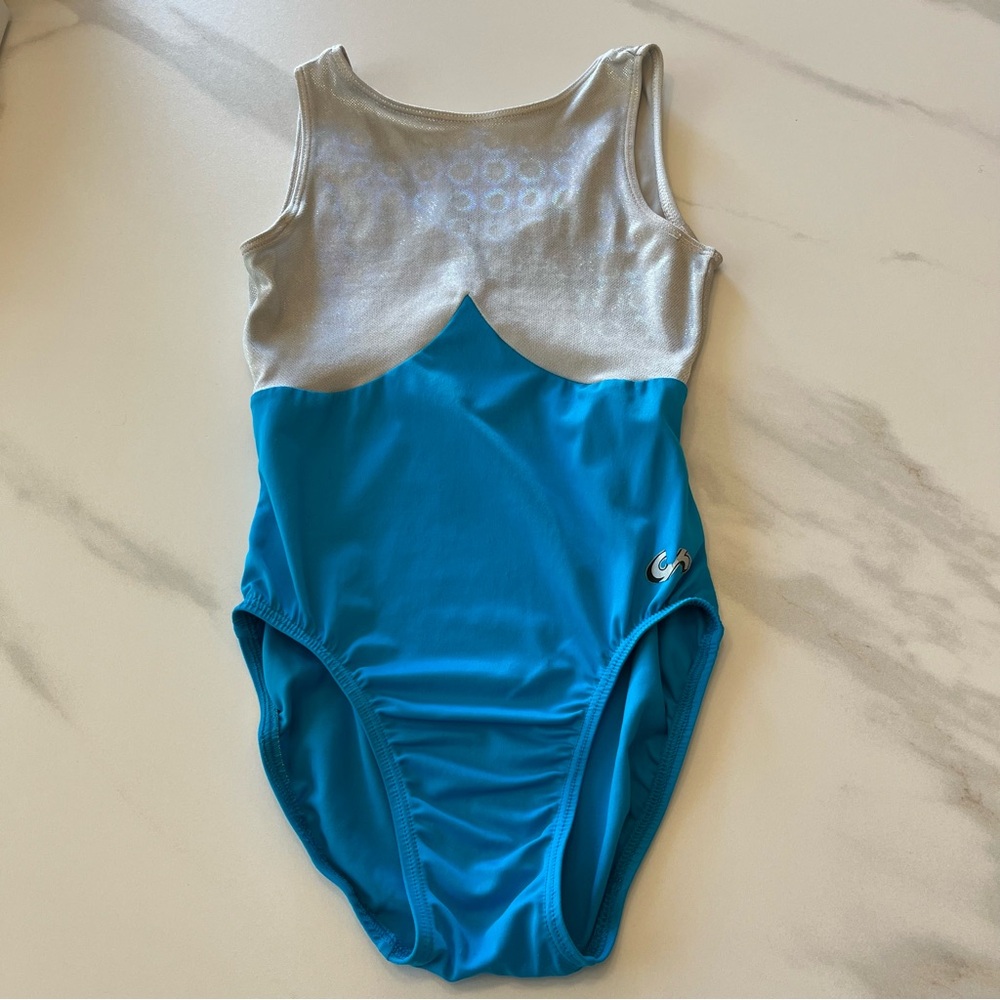 GK Silver and Blue Leotard